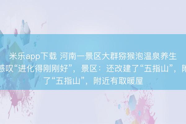米乐app下载 河南一景区大群猕猴泡温泉养生,游客偶遇感叹“进化得刚刚好”,景区:还改建了“五指山”,附近有取暖屋