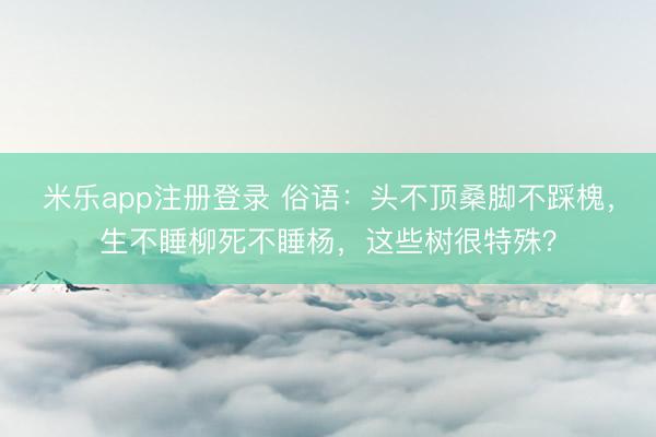 米乐app注册登录 俗语：头不顶桑脚不踩槐，生不睡柳死不睡杨，这些树很特殊？