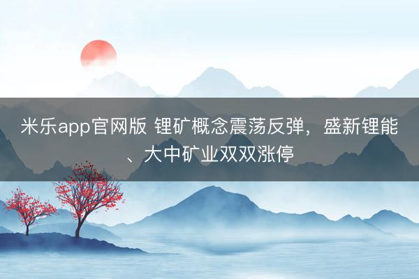 米乐app官网版 锂矿概念震荡反弹，盛新锂能、大中矿业双双涨停