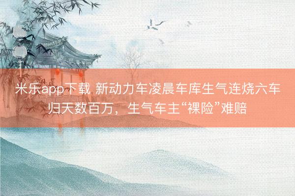 米乐app下载 新动力车凌晨车库生气连烧六车归天数百万，生气车主“裸险”难赔