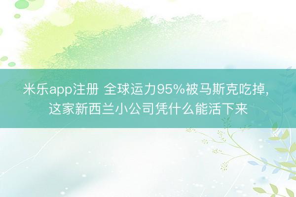 米乐app注册 全球运力95%被马斯克吃掉， 这家新西兰小公司凭什么能活下来